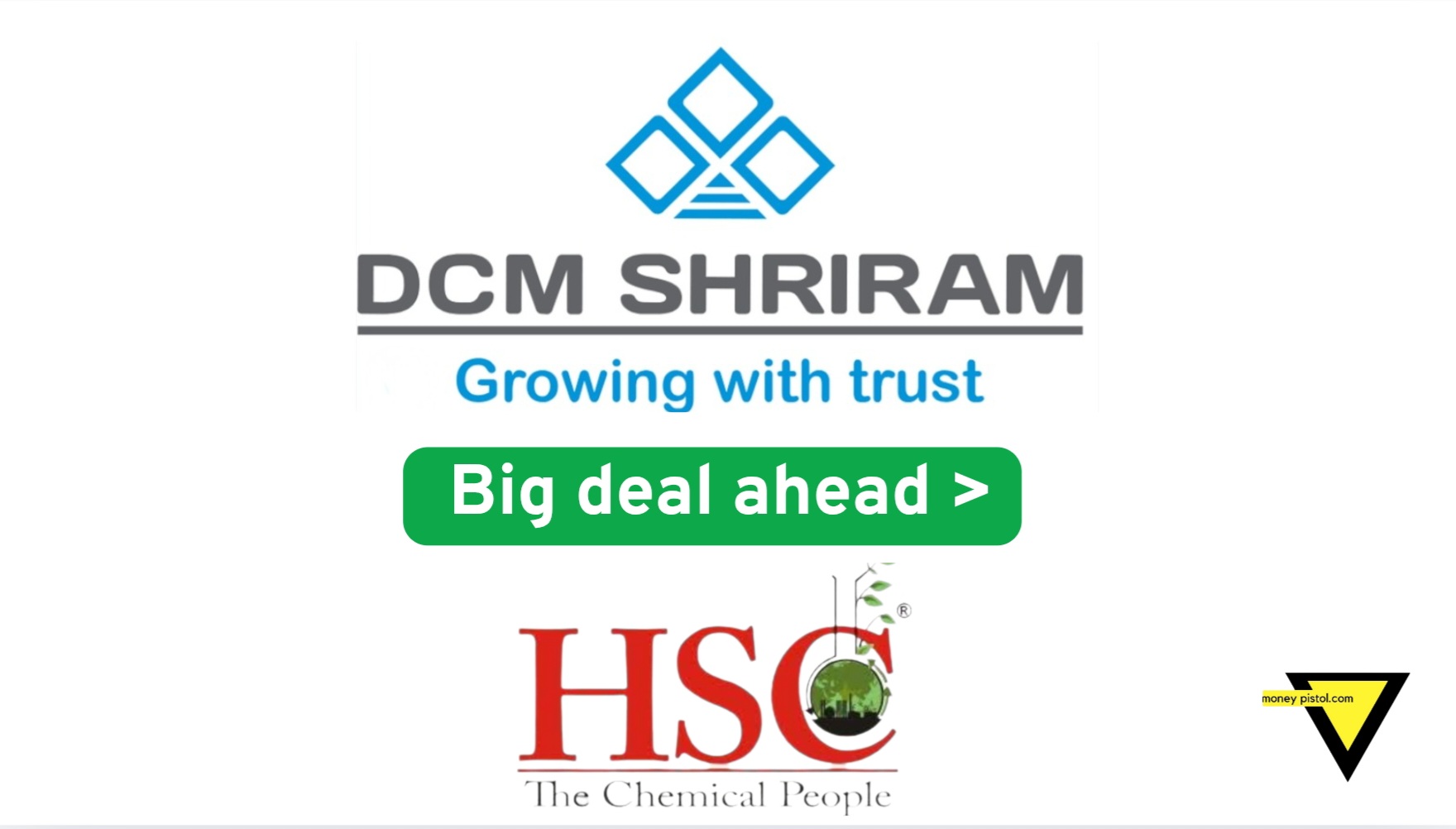 DCM Shriram big deal with Hindustan Speciality Chemicals